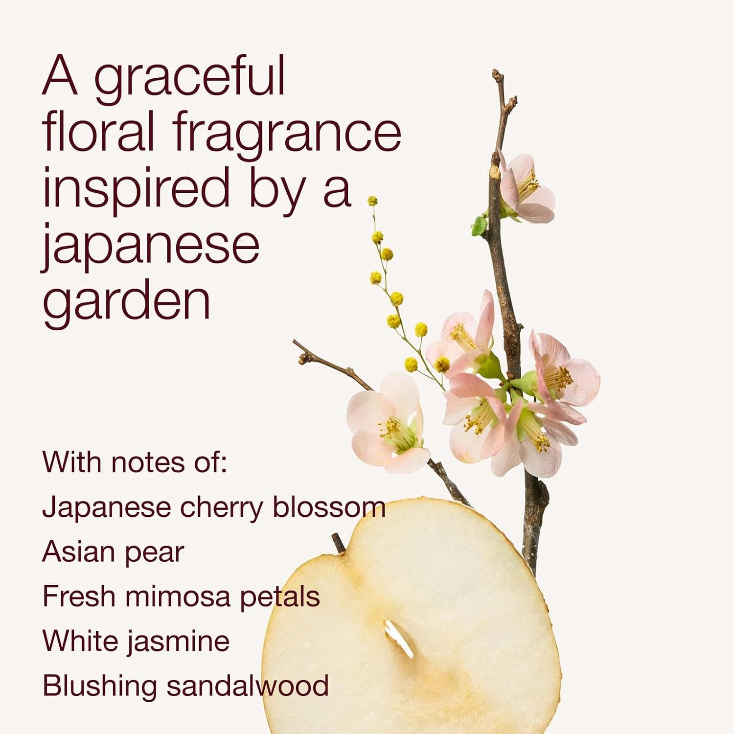 شامپو بدن بس اند بادی ورکس Japanese Cherry Blossom حجم 295ml جزئیات شامپو بدن Japanese Cherry Blossom حجم 295 میلی لیتر