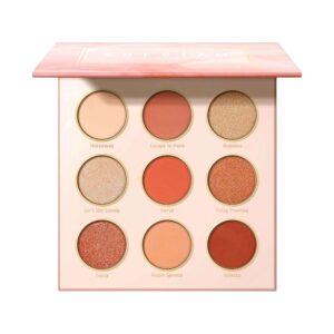 پالت سایه 9 رنگ شیگلم Rose Code